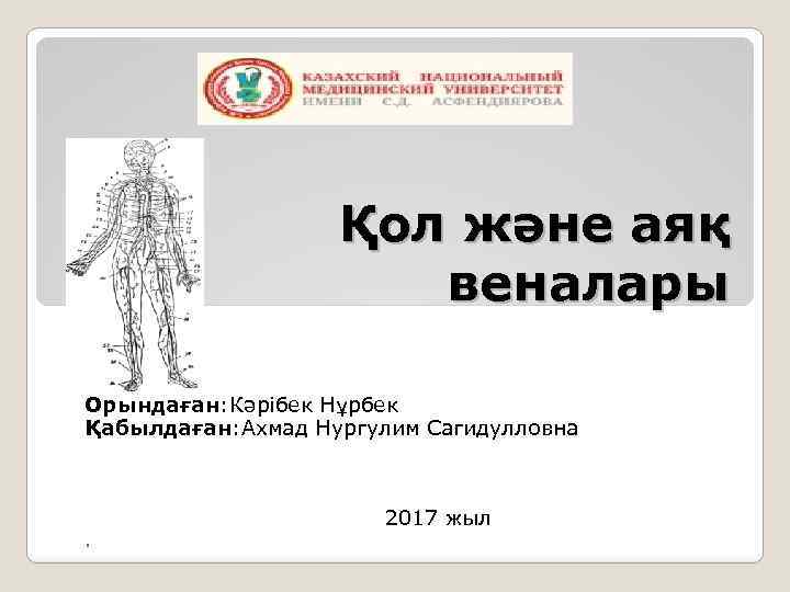 Қол және аяқ веналары Орындаған: Кәрібек Нұрбек Қабылдаған: Ахмад Нургулим Сагидулловна 2017 жыл .