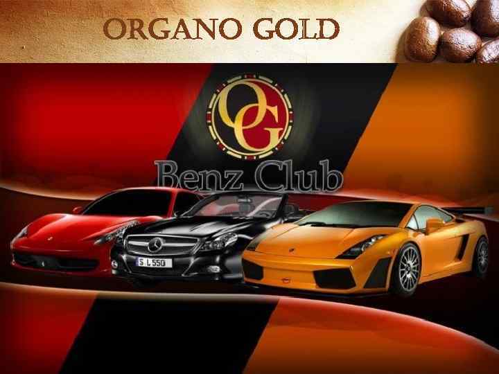 organo gold 