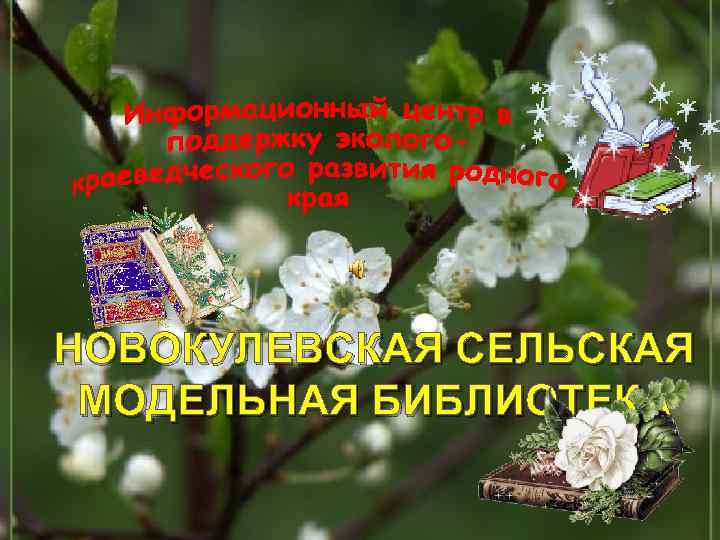 НОВОКУЛЕВСКАЯ СЕЛЬСКАЯ МОДЕЛЬНАЯ БИБЛИОТЕКА 