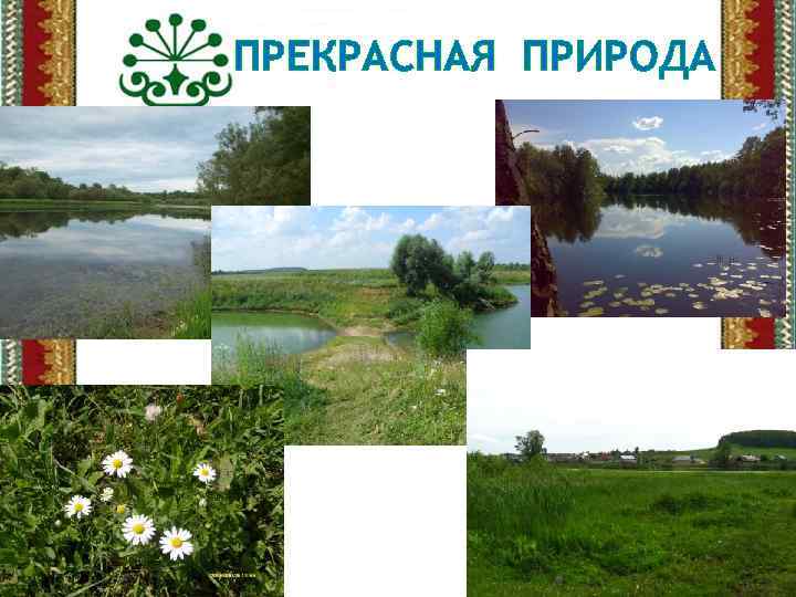 ПРЕКРАСНАЯ ПРИРОДА 