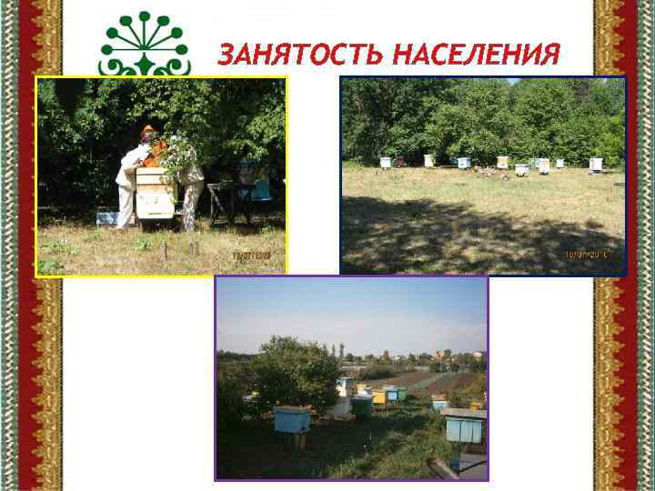 ЗАНЯТОСТЬ НАСЕЛЕНИЯ 