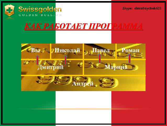 Skype: elenaboychuk 621 КАК РАБОТАЕТ ПРОГРАММА Вы Николай Павел Дмитрий Роман Марина Андрей 