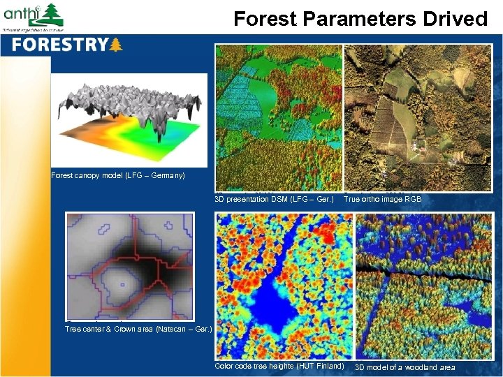 Forest Parameters Drived Forest canopy model (LFG – Germany) 3 D presentation DSM (LFG