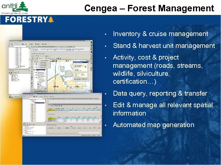 Cengea – Forest Management • Inventory & cruise management • Stand & harvest unit