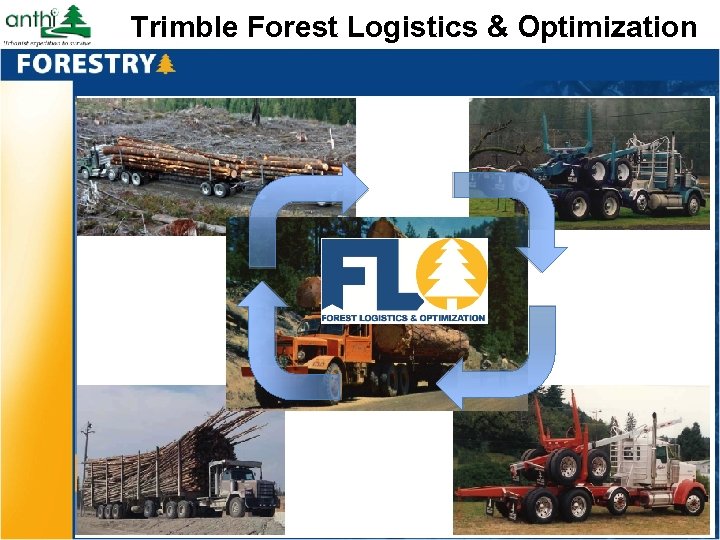 Trimble Forest Logistics & Optimization 