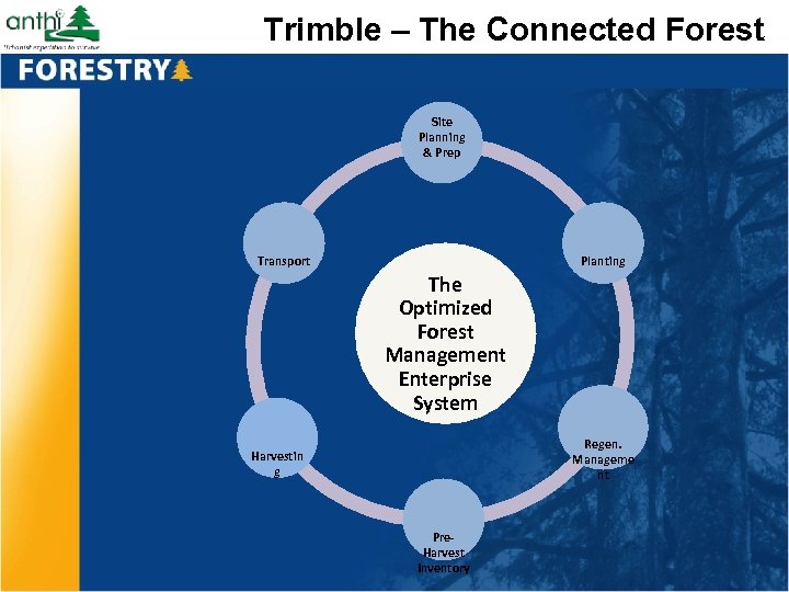 Trimble – The Connected Forest Site Planning & Prep Transport Planting The Optimized Forest