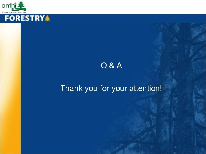 Q&A Thank you for your attention! 