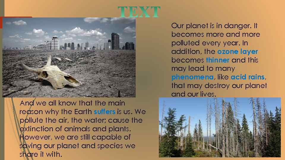 Our planet is in danger. It becomes more and more polluted every year. In