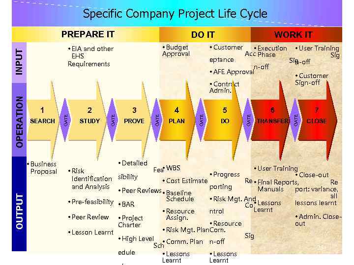 Specific Company Project Life Cycle DO IT • Budget Approval INPUT • EIA and