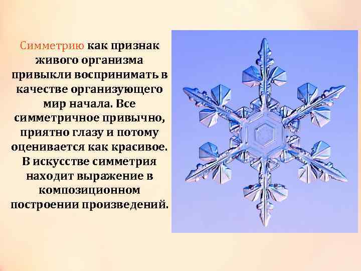 Симметрию как признак Симметрию живого организма привыкли воспринимать в качестве организующего мир начала. Все