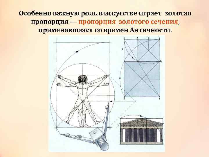 Особенно важную роль в искусстве играет золотая пропорция — пропорция золотого сечения, пропорция золотого