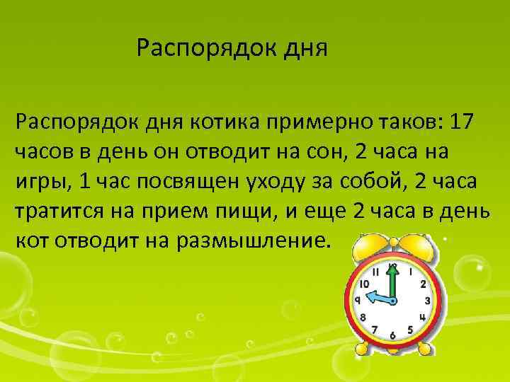 Распорядок дня котика примерно таков: 17 часов в день он отводит на сон, 2