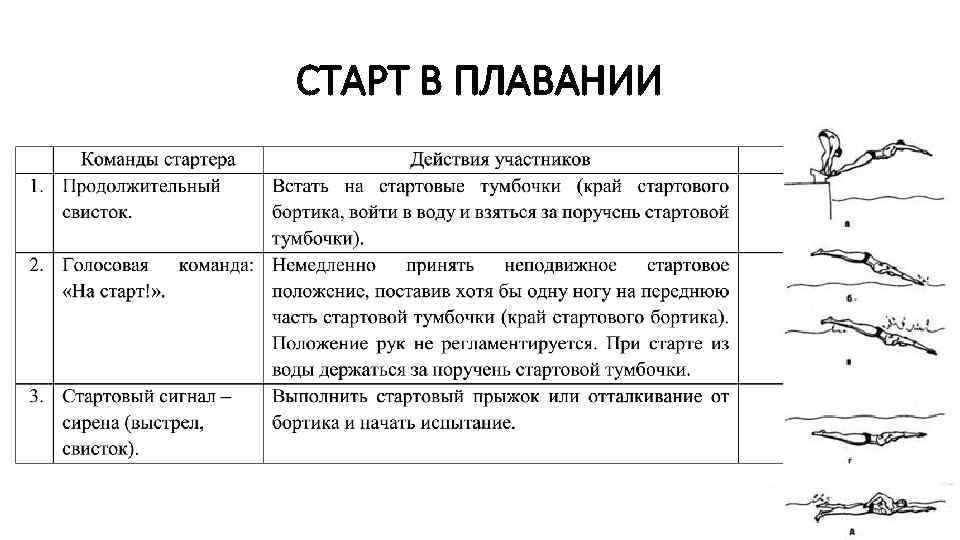 СТАРТ В ПЛАВАНИИ 