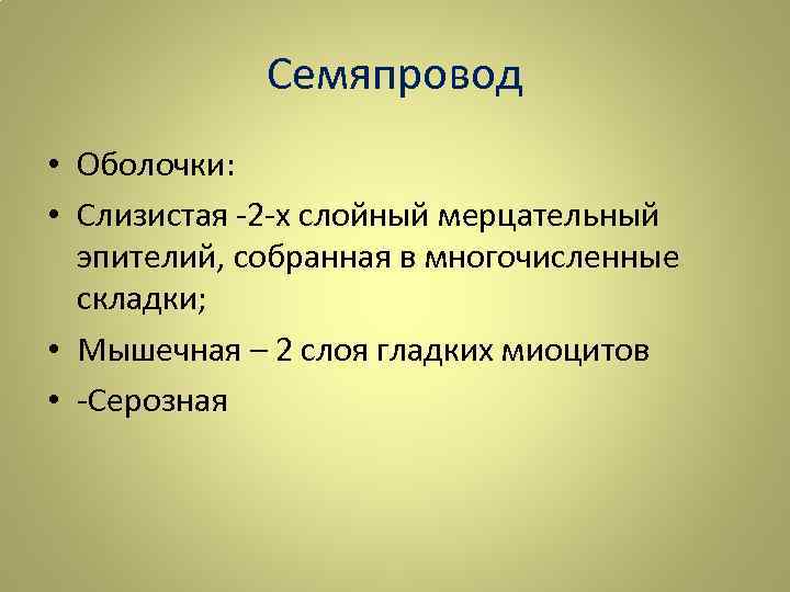 Семяпровод • Оболочки: • Слизистая -2 -х слойный мерцательный эпителий, собранная в многочисленные складки;