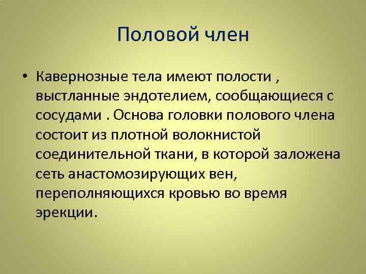 Половой член • Кавернозные тела имеют полости , выстланные эндотелием, сообщающиеся с сосудами. Основа