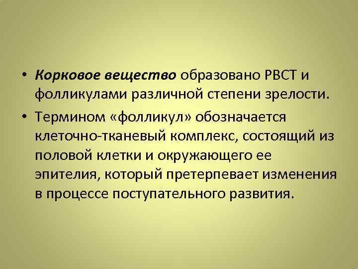  • Корковое вещество образовано РВСТ и фолликулами различной степени зрелости. • Термином «фолликул»