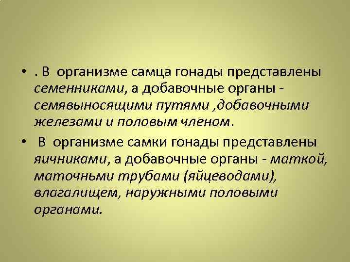  • . В организме самца гонады представлены семенниками, а добавочные органы семявыносящими путями