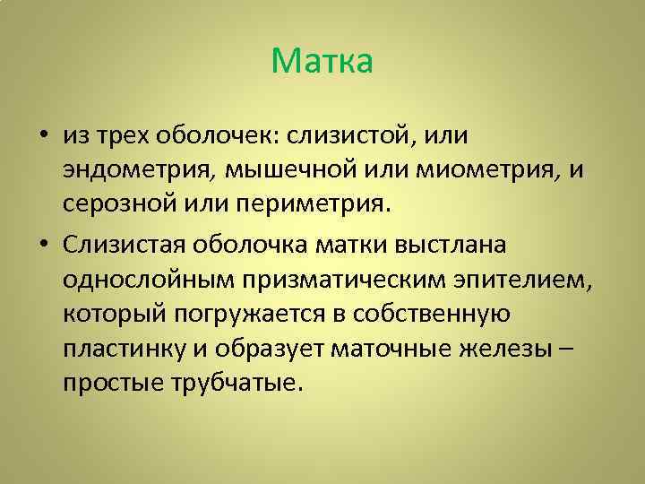 Матка • из трех оболочек: слизистой, или эндометрия, мышечной или миометрия, и серозной или