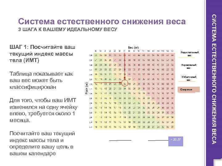 3 ШАГА К ВАШЕМУ ИДЕАЛЬНОМУ ВЕСУ ШАГ 1: Посчитайте ваш текущий индекс массы тела