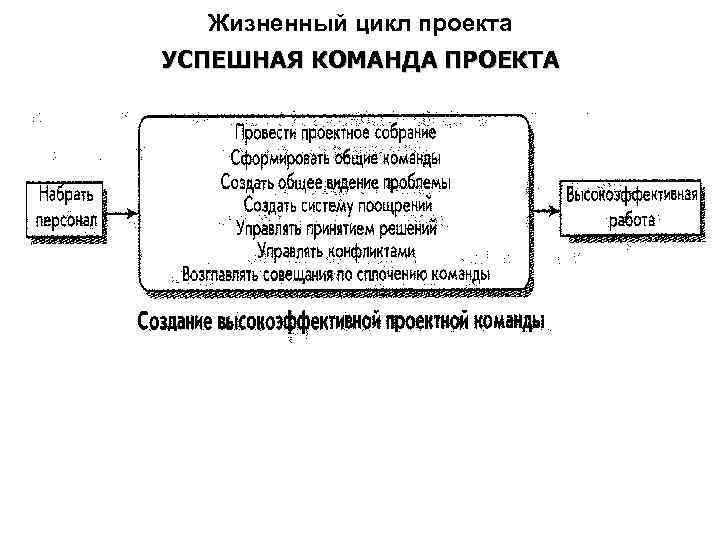 Жизненный цикл проекта УСПЕШНАЯ КОМАНДА ПРОЕКТА 