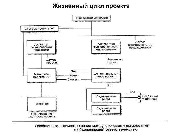 Жизненный цикл проекта 