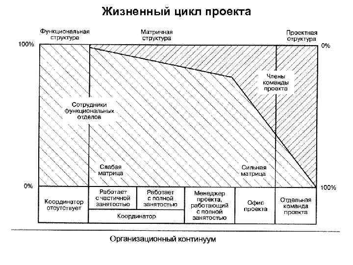 Жизненный цикл проекта 