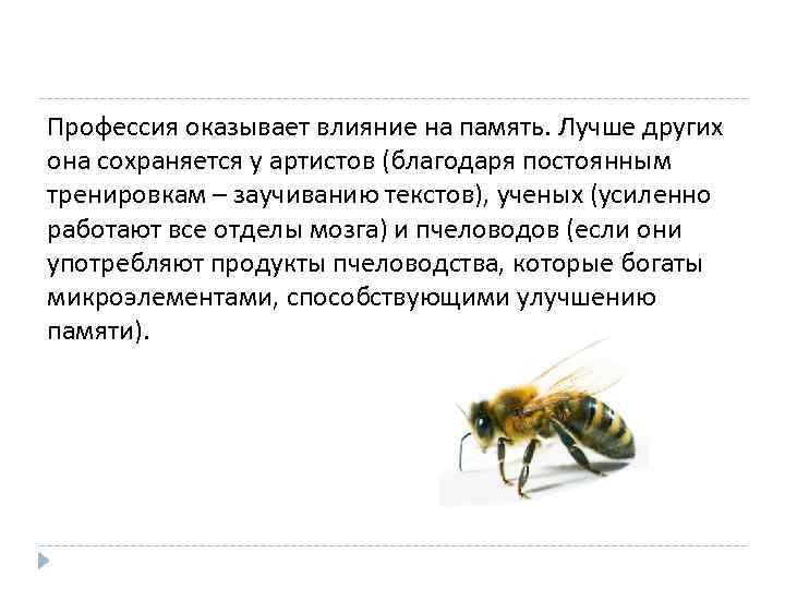 Профессия оказывает влияние на память. Лучше других она сохраняется у артистов (благодаря постоянным тренировкам
