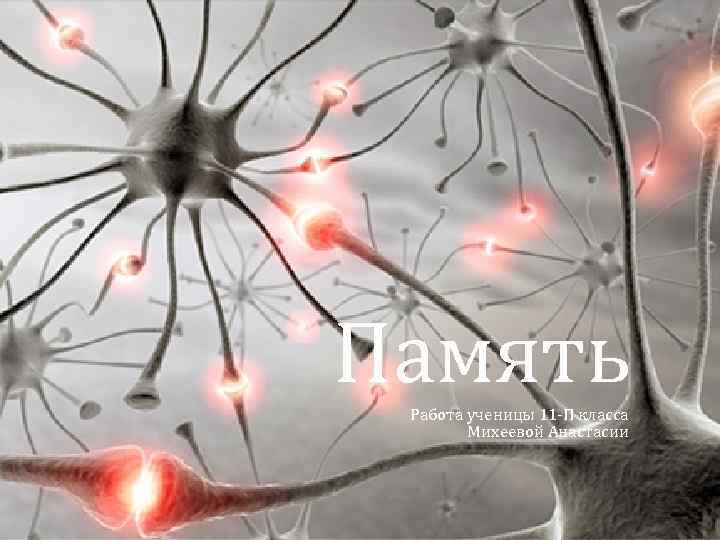 Память Работа ученицы 11 -П класса Михеевой Анастасии 