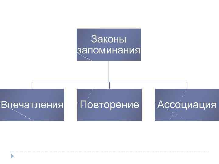 Законы запоминания Впечатления Повторение Ассоциация 
