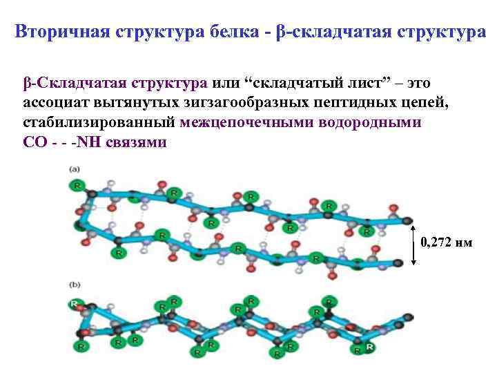 Вторичная структура белка фото