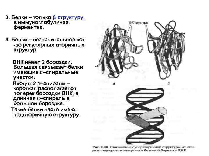 Рациональный дизайн белков