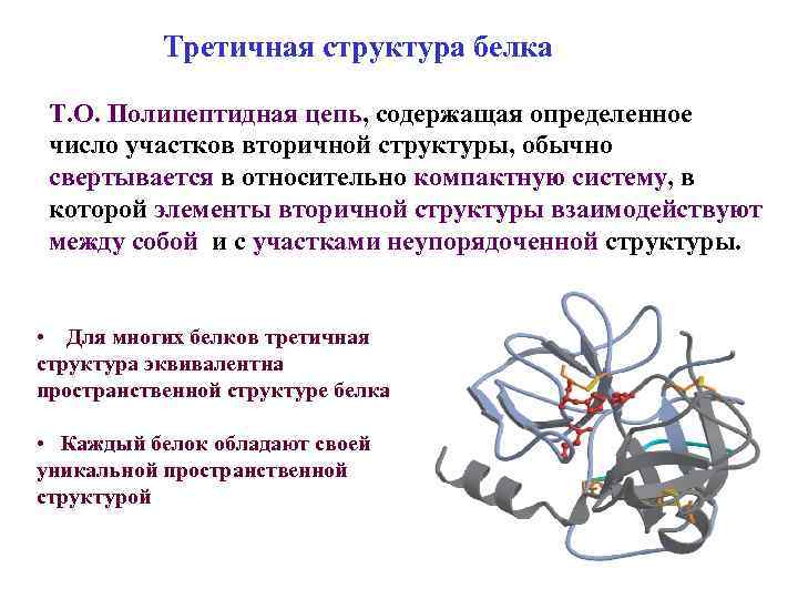 Третичная структура белка картинка