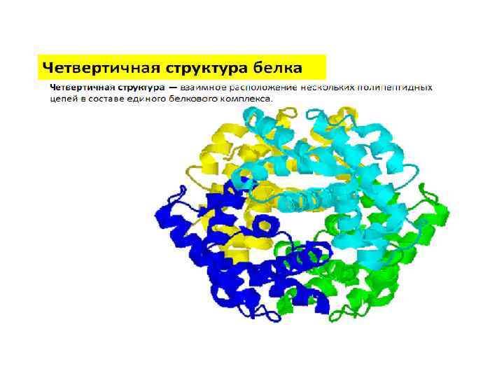 Четвертичная структура белков. Четвертичная структура белка связи ее стабилизирующие. Четвертичная структура белка химия. Четвертичная структура белка связи.