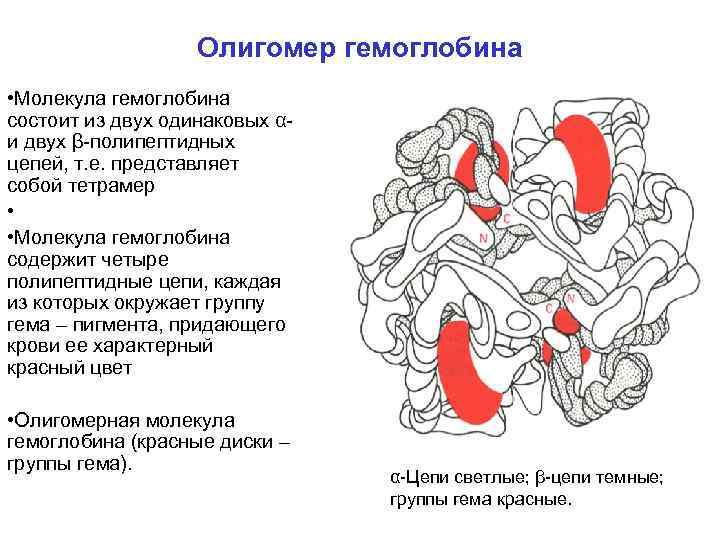 Схема структурной организации восприятия первичной локализованной боли