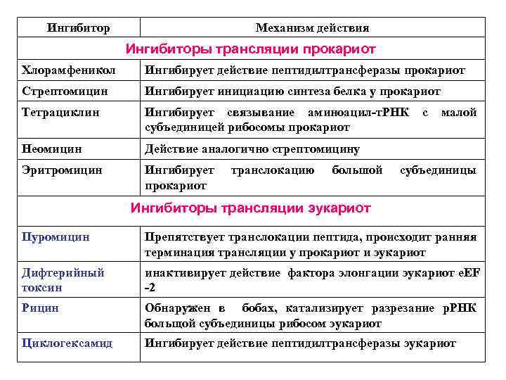 Ингибитор Механизм действия Ингибиторы трансляции прокариот Хлорамфеникол Ингибирует действие пептидилтрансферазы прокариот Стрептомицин Ингибирует инициацию