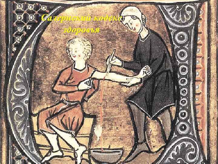 Салернский кодекс здоровья 