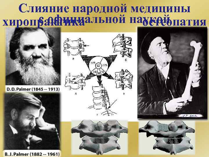 Слияние народной медицины с официальной наукой хиропрактика остеопатия 