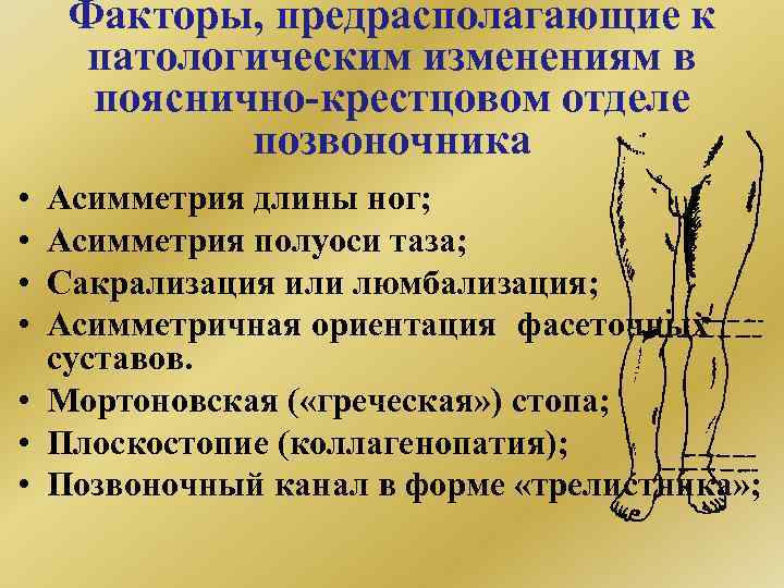 Факторы, предрасполагающие к патологическим изменениям в пояснично-крестцовом отделе позвоночника • • Асимметрия длины ног;