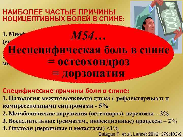 НАИБОЛЕЕ ЧАСТЫЕ ПРИЧИНЫ НОЦИЦЕПТИВНЫХ БОЛЕЙ В СПИНЕ: М 54… 1. Миофасциальные боли (страдание мышцы)