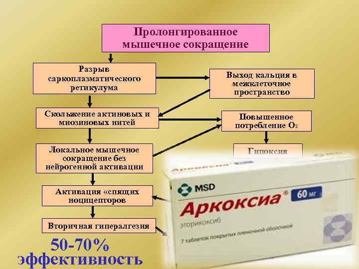 Аркоксиа схема приема