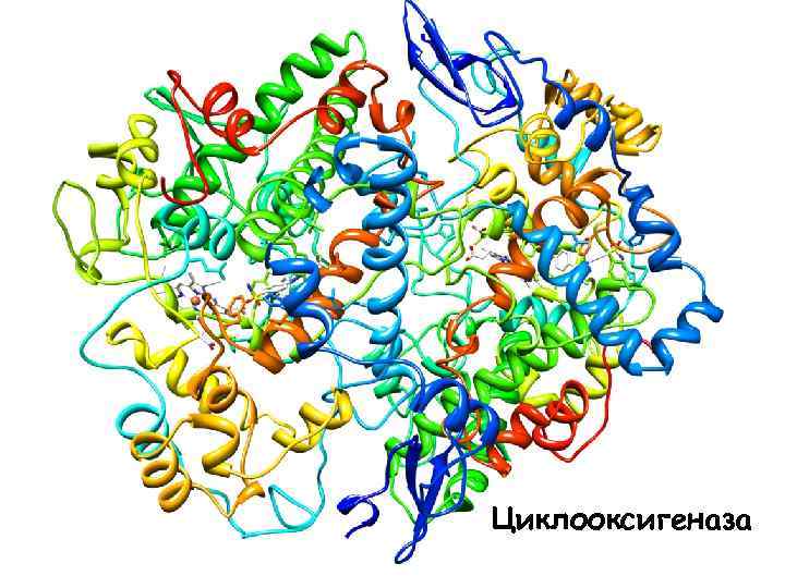 Циклооксигеназа 