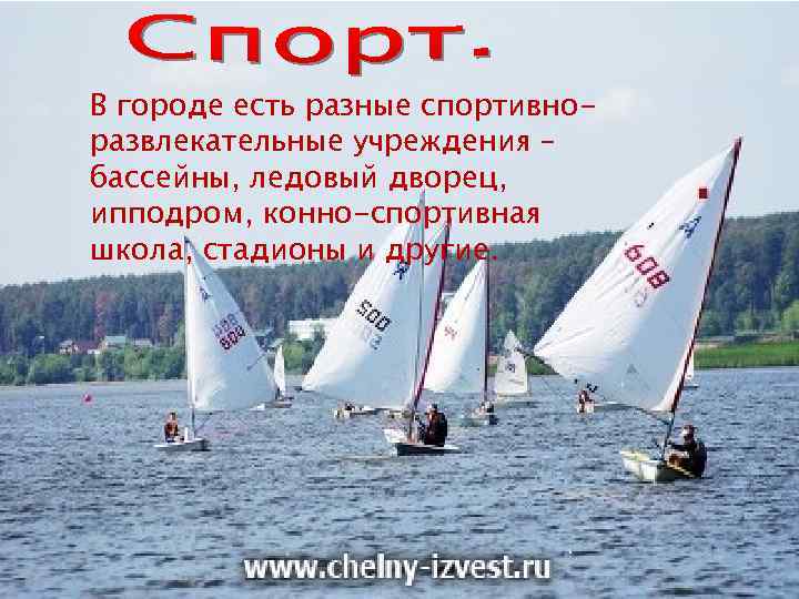 В городе есть разные спортивноразвлекательные учреждения – бассейны, ледовый дворец, ипподром, конно-спортивная школа, стадионы