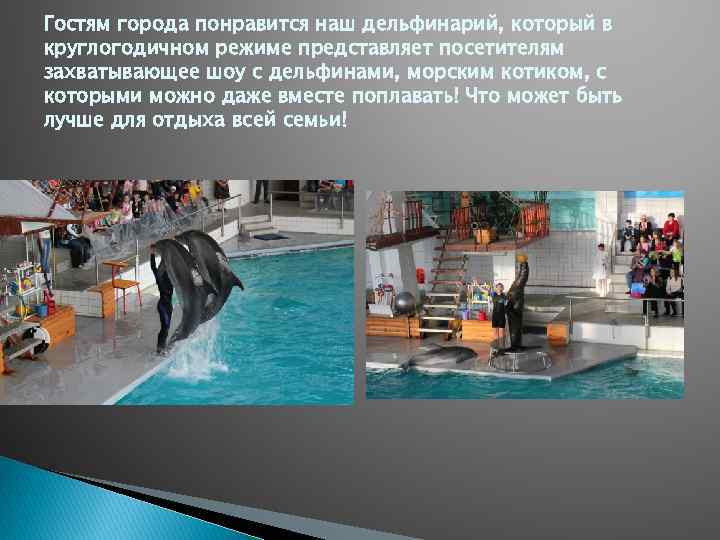 Гостям города понравится наш дельфинарий, который в круглогодичном режиме представляет посетителям захватывающее шоу с