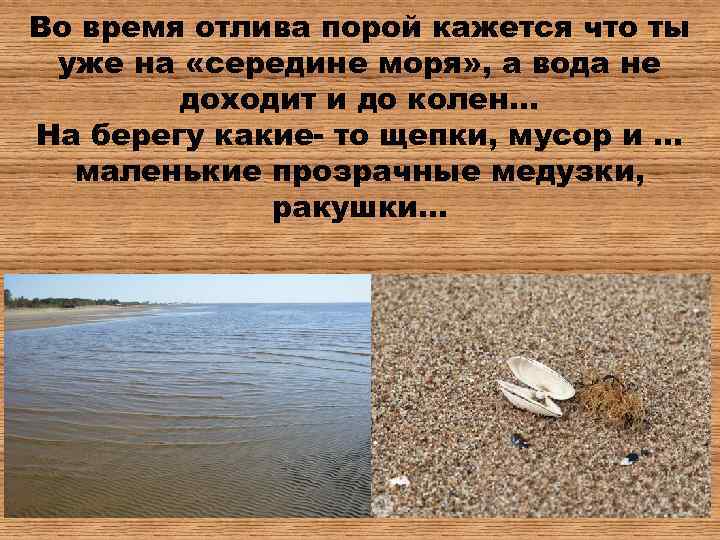 Во время отлива порой кажется что ты уже на «середине моря» , а вода