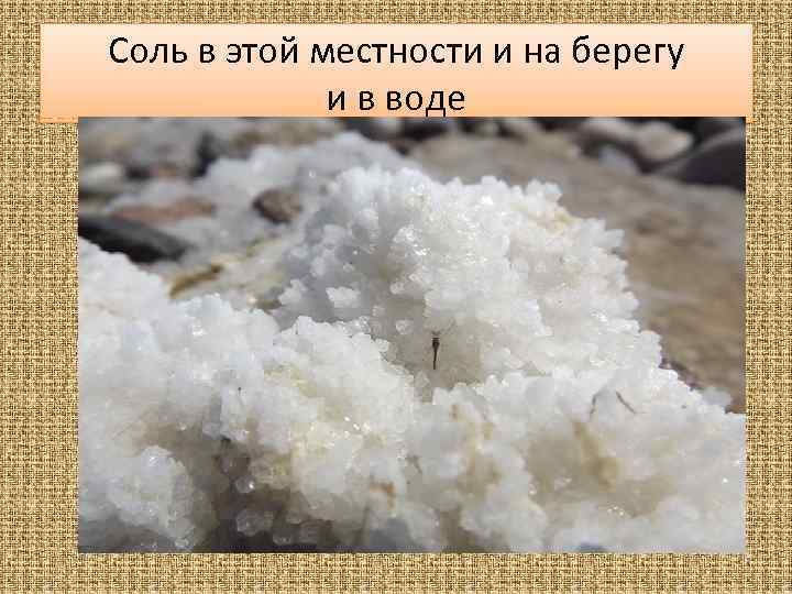 Соль в этой местности и на берегу и в воде 