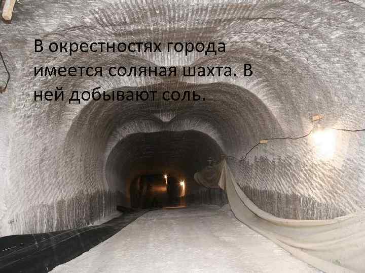 В окрестностях города имеется соляная шахта. В ней добывают соль. 