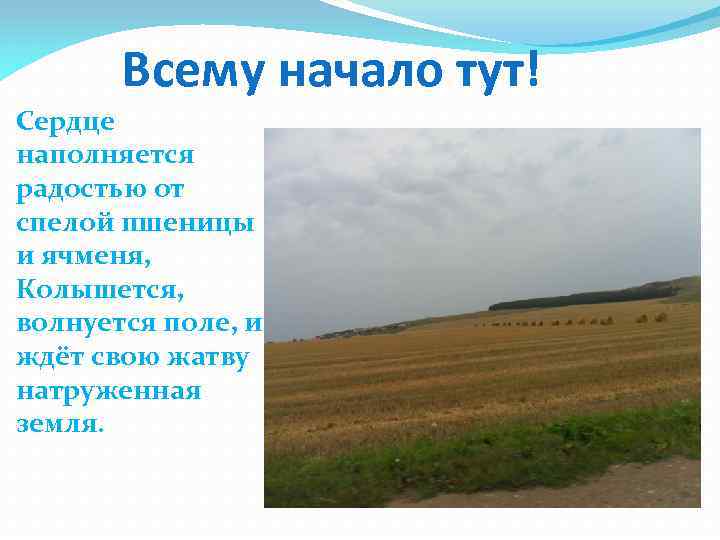  Всему начало тут! Сердце наполняется радостью от спелой пшеницы и ячменя, Колышется, волнуется
