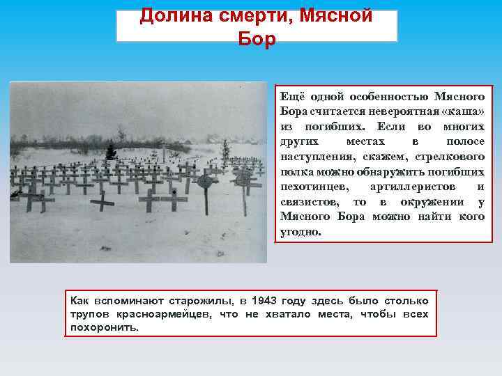 Долина смерти, Мясной Бор Ещё одной особенностью Мясного Бора считается невероятная «каша» из погибших.