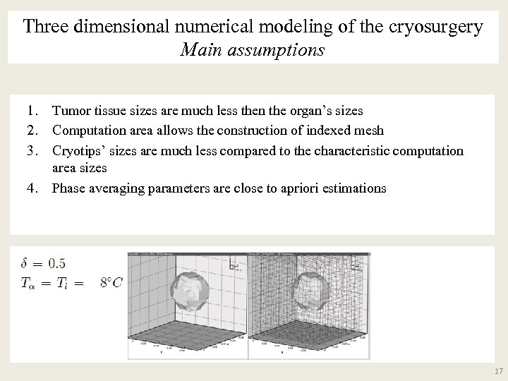 Three dimensional numerical modeling of the cryosurgery Main assumptions 1. Tumor tissue sizes are