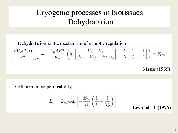 Cryogenic processes in biotissues Dehydratation as the mechanism of osmotic regulation Mazur (1965) Cell